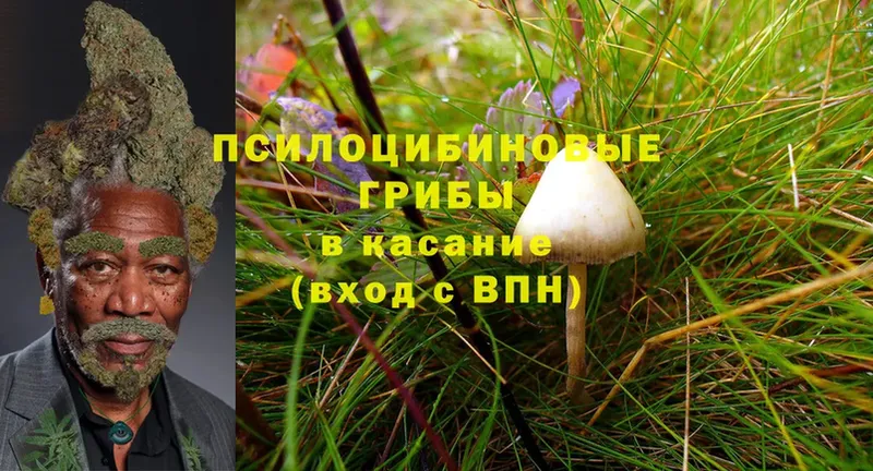 Галлюциногенные грибы Magic Shrooms  Ефремов 